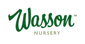 shop.wassonnursery.com