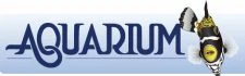 aquariumconnection.com