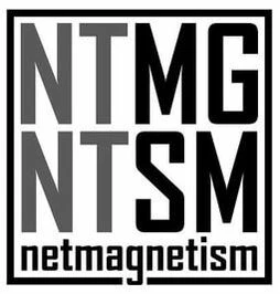 netmagnetism.com