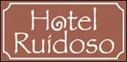 hotelruidoso.net