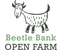 beetlebankopenfarm.co.uk