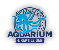 electriccityaquarium.com