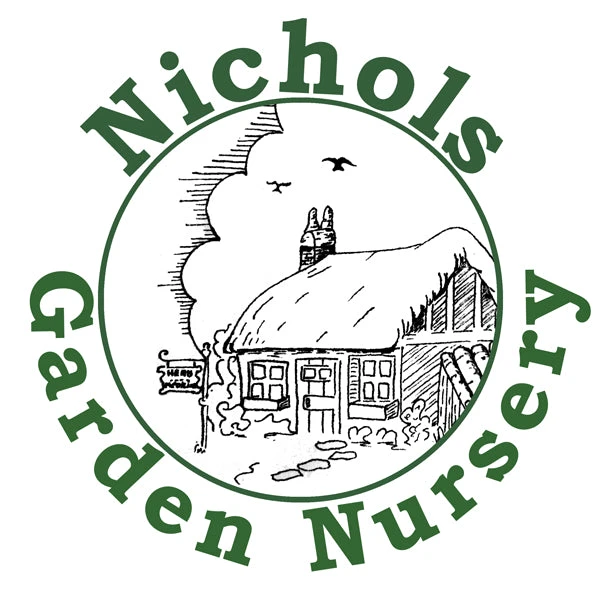 nicholsgardennursery.com