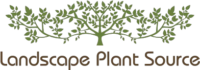 landscapeplantsource.com