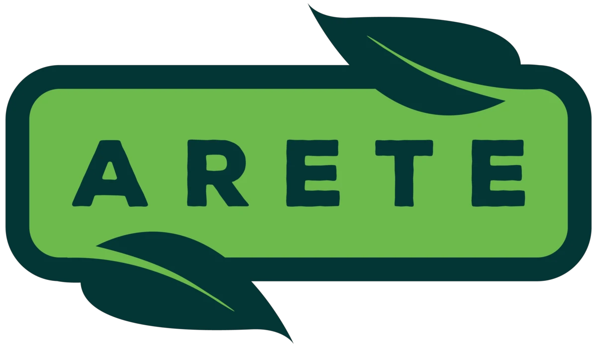 aretehemp.com