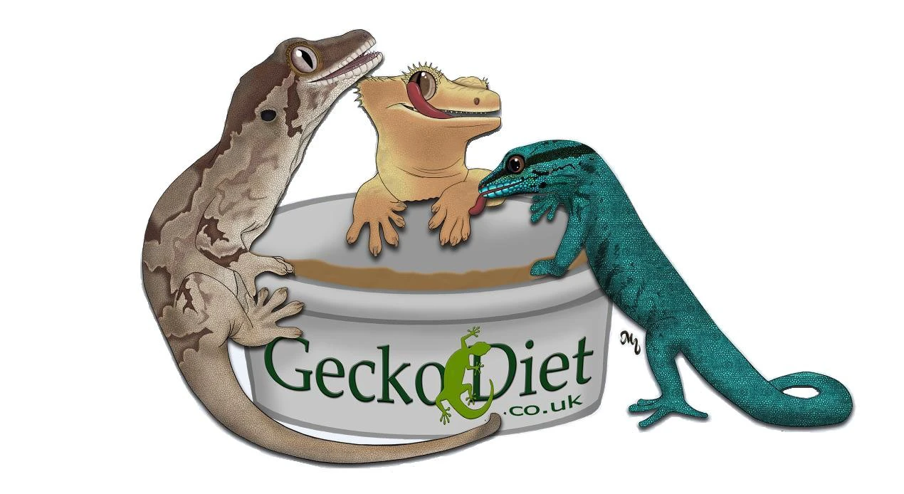 geckodiet.uk