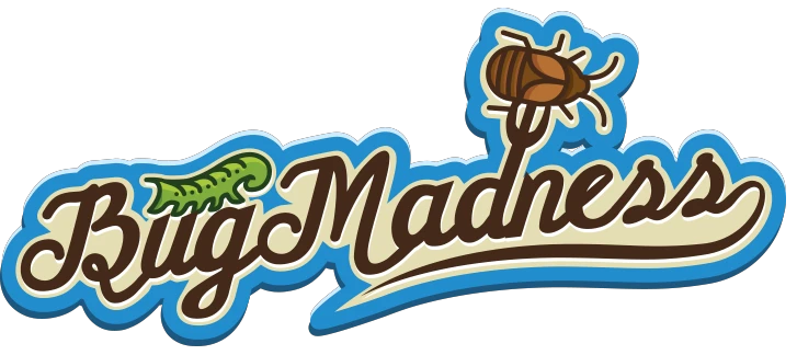 bugmadness.com