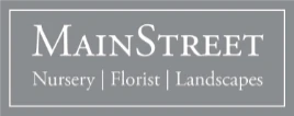 mainstreetnursery.com