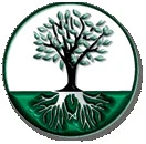 deeperroots.com