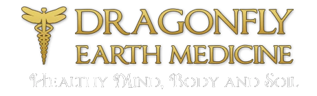 dragonflyearthmedicine.com