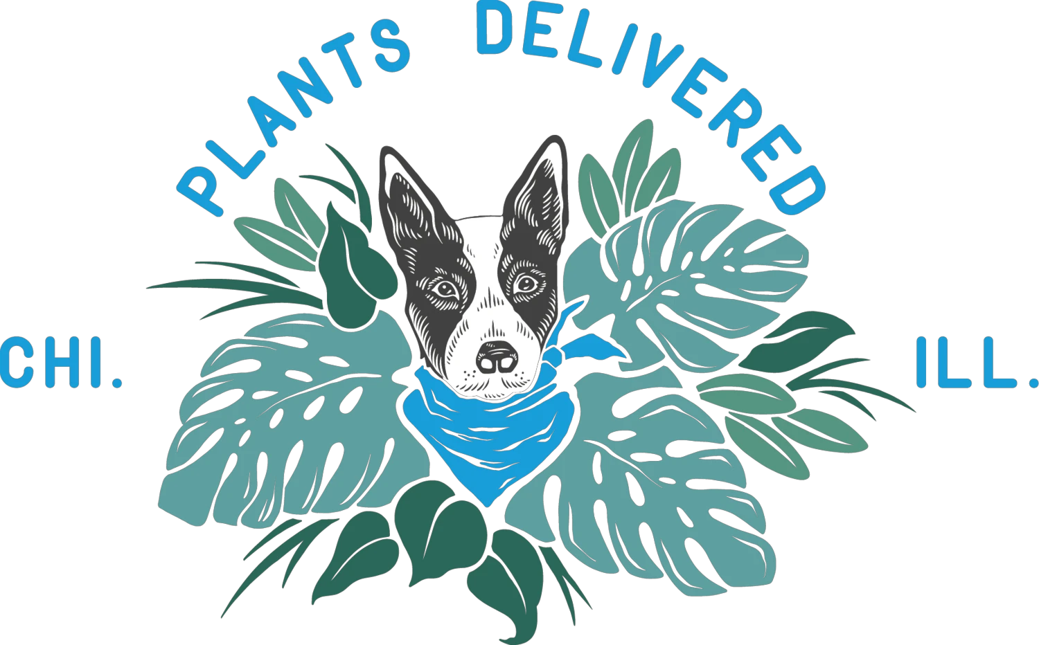 plantsdeliveredchicago.com