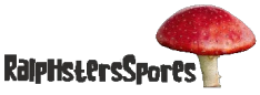 ralphstersspores.com