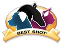 bestshotpet.com