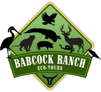 babcockranchecotours.com