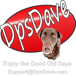 dpsdave.com