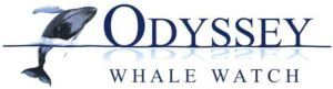 odysseywhalewatch.com