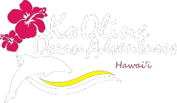 koolinaoceanadventures.com