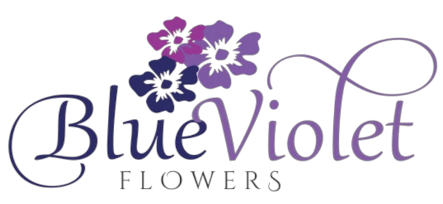 bluevioletflowersca.com