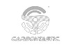 realcarbontastic.com