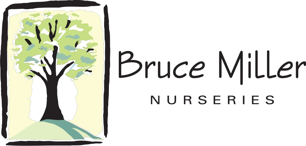 brucemillernursery.com