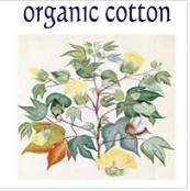 organiccotton.biz