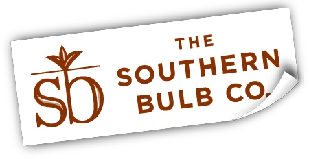 southernbulbs.com