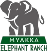 myakkaelephantranch.org