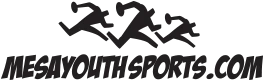 mesayouthsports.com