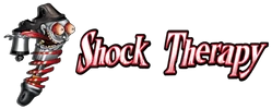 shocktherapyst.com