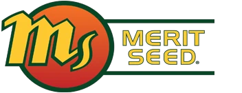 meritseed.com