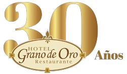 hotelgranodeoro.com