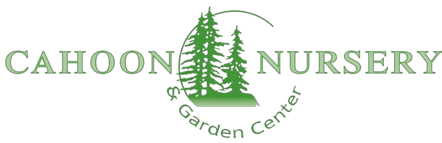 cahoonnurseryandgardencenter.com