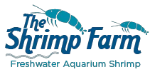 theshrimpfarm.com