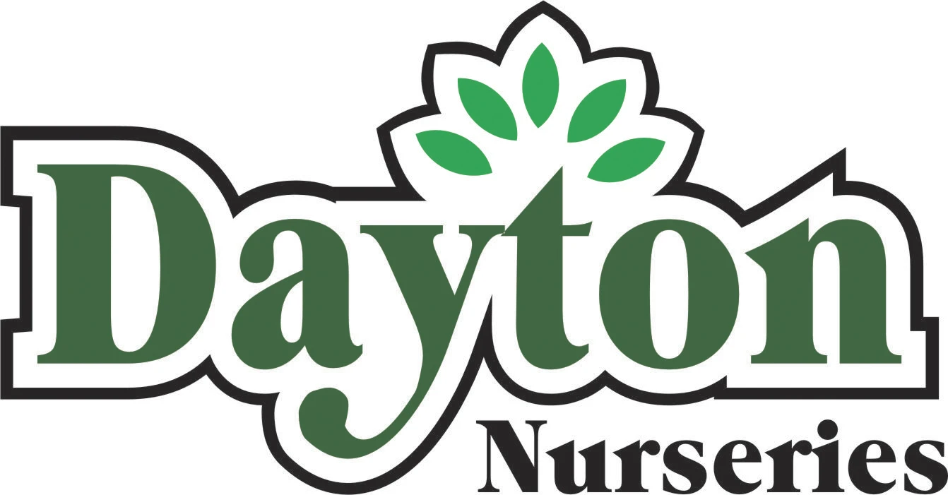 daytonnursery.com