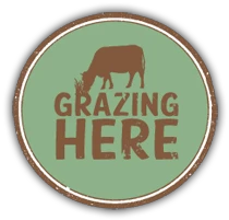 grazinghere.com