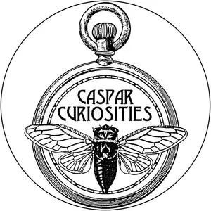 casparcuriosities.com