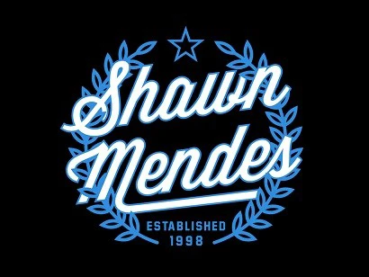 shawnmendesmerch.com