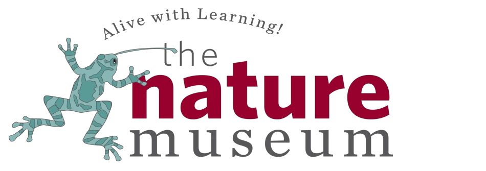 nature-museum.org