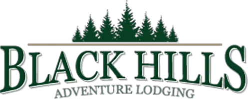 blackhillsadventurelodging.com