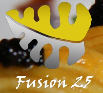 fusion25.com