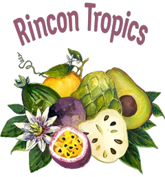 rincontropics.com