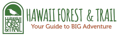 hawaii-forest.com