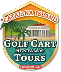 catalinaislandgolfcart.com