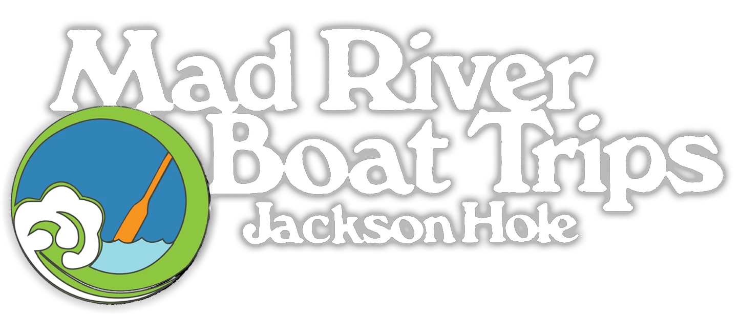 mad-river.com