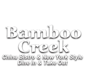 bamboocreekpalmcoast.com