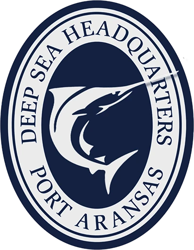 deepseaheadquarters.com