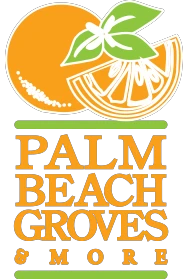 palmbeachgroves.com