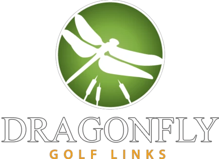 dragonflygolf.com