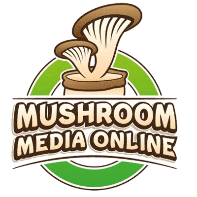 mushroommediaonline.com