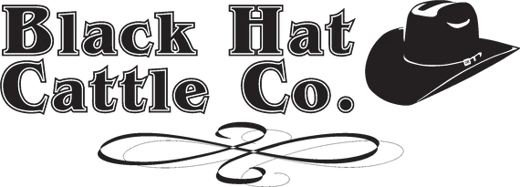 blackhatcattleco.com